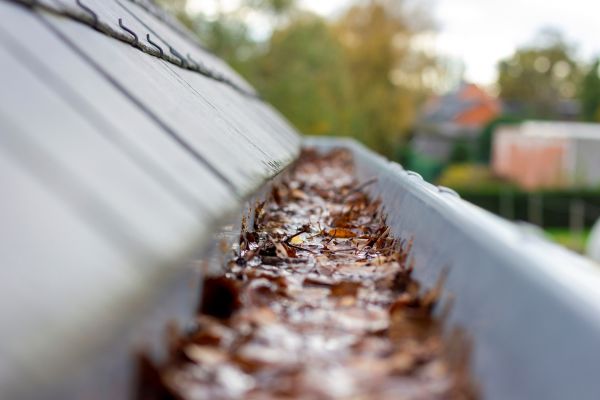 Commercial Gutter Cleaning in Wesley Chapel