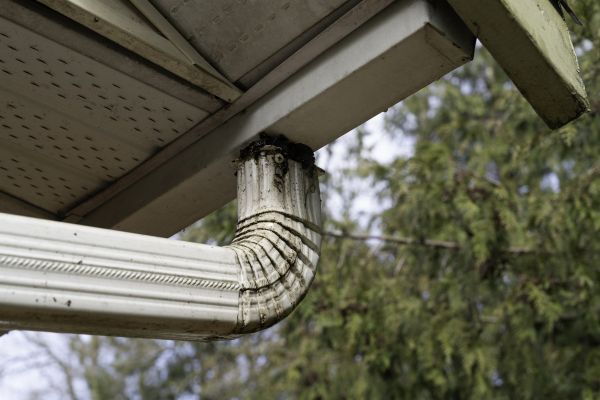 Downspout Cleaning in Wesley Chapel