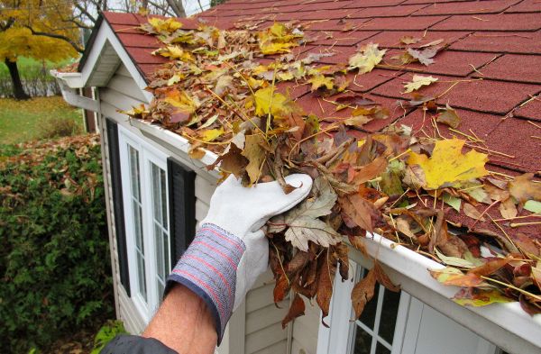 Rain Gutter Cleaning Service in Wesley Chapel