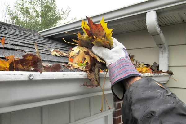 Leaf Gutter Cleaning in Wesley Chapel