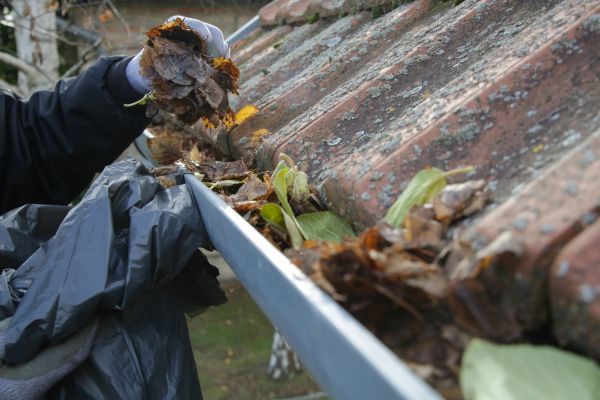 Commercial Gutter Unclogging in Wesley Chapel