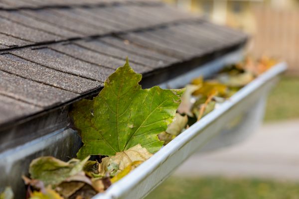 Commercial Downspout Cleaning in Wesley Chapel