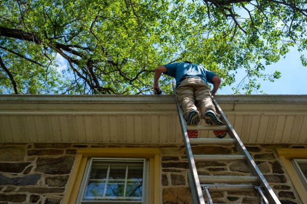 Industrial Gutter Cleaning in Wesley Chapel
