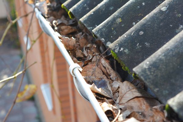 Cost of Home Gutter Cleaning in Wesley Chapel