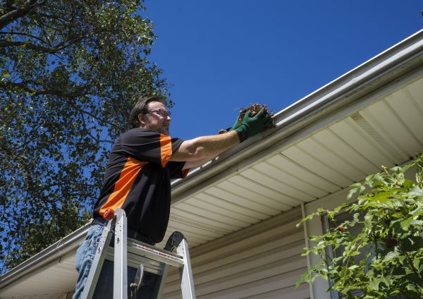 Cost of Eavestrough Clearing in Wesley Chapel