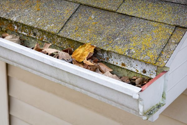 Cost of Garage Gutter Cleaning in Wesley Chapel