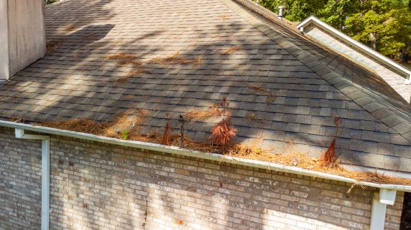 Cost of Gutter Pine Needle Removal in Wesley Chapel