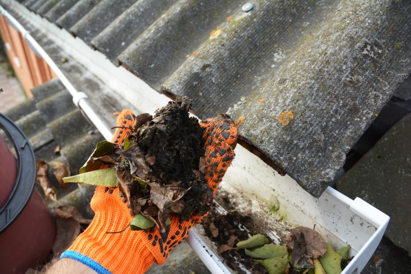 Gutter Leaves Removal detail