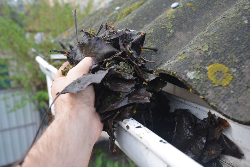 Gutter Leaves Removal